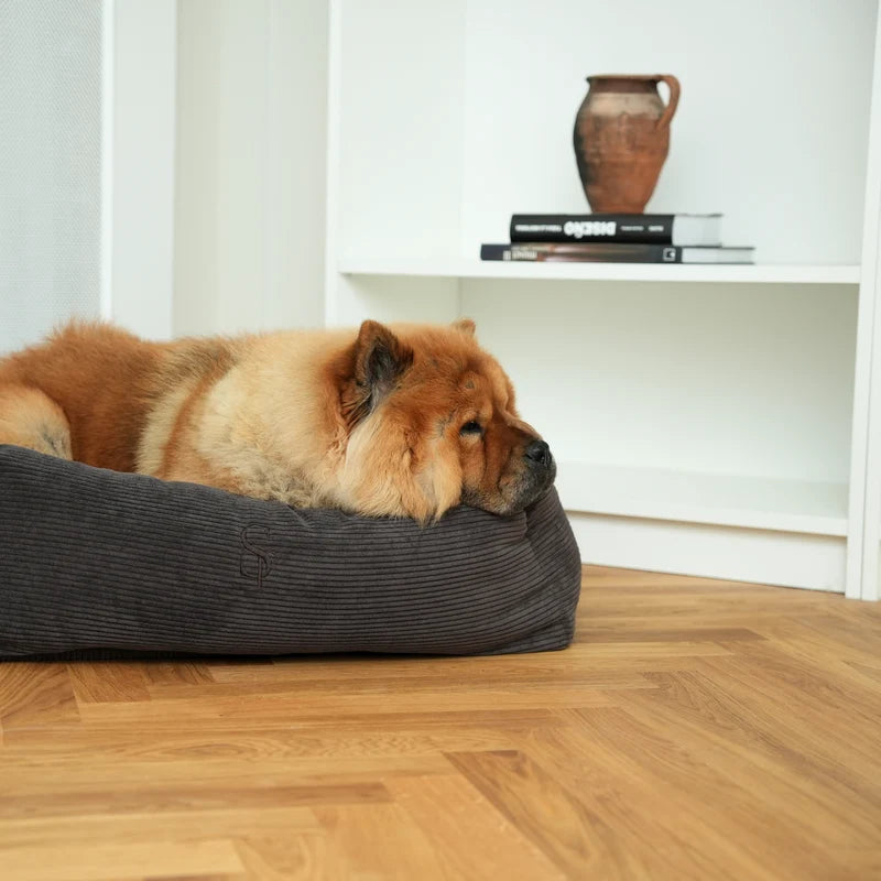 Lit pour chien - Velour marron - Staey