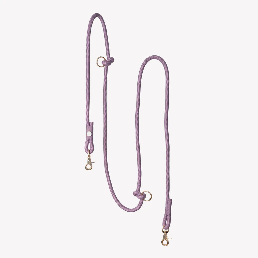 Laisse tressée mains libres - Violet - Furlou