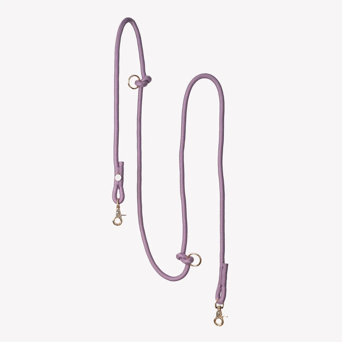 Laisse tressée mains libres - Violet - Furlou