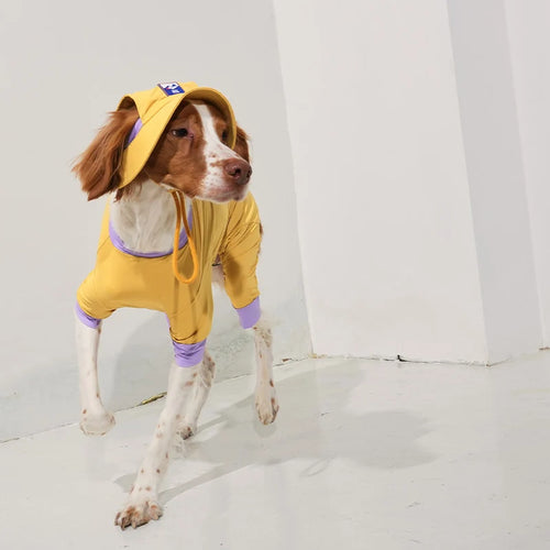 Casquette rafraîchissante Outside+ pour chien - Puppy Gallery