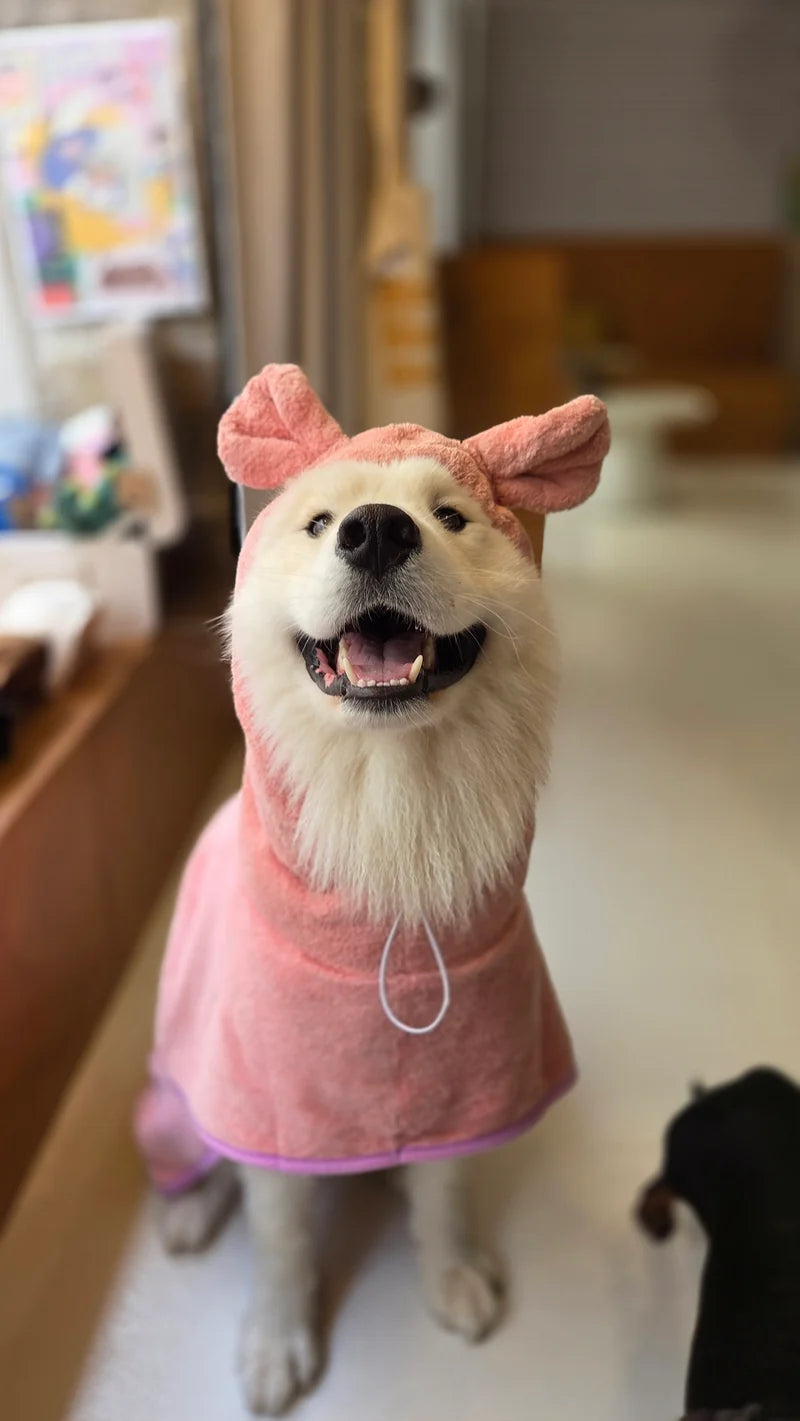 Dogwash