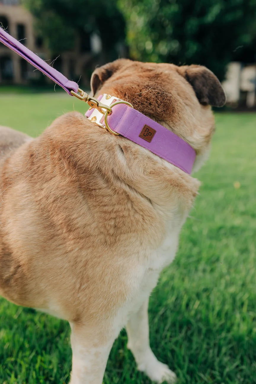Collier signature - violet - Puddle Jumper Pups