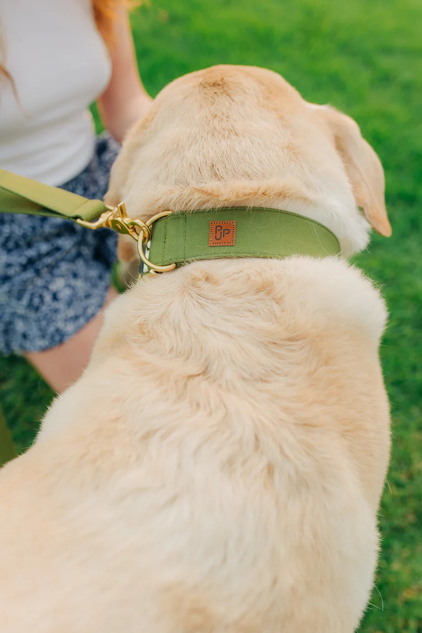 Collier signature - vert - Puddle Jumper Pups