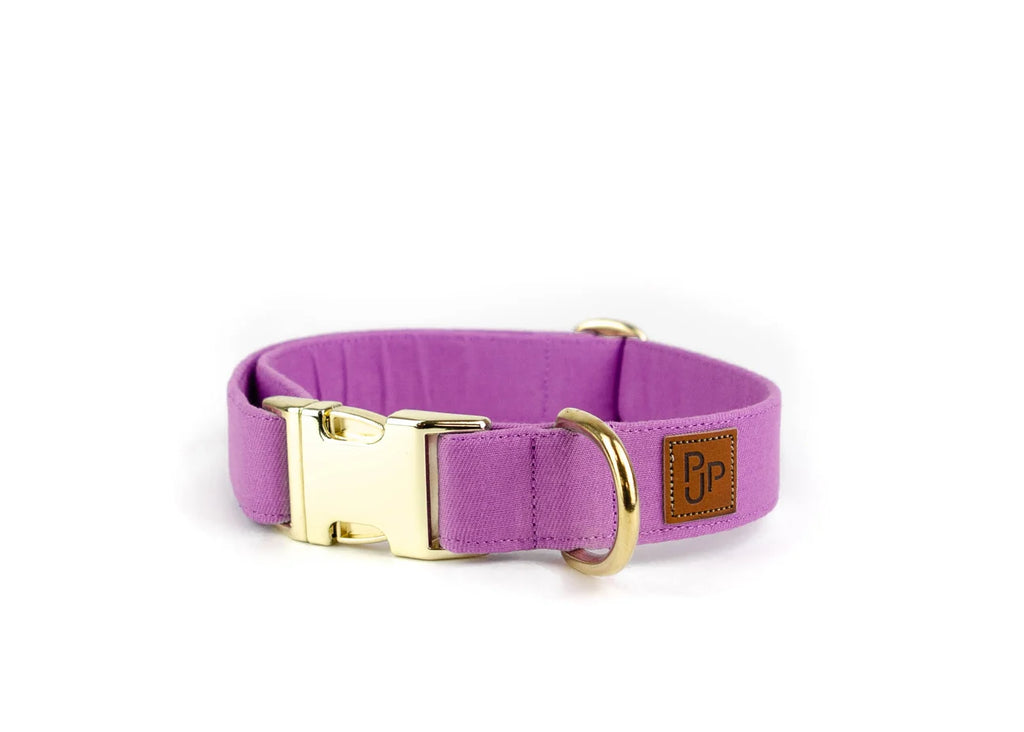 Collier signature - violet - Puddle Jumper Pups