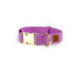 Collier signature - violet - Puddle Jumper Pups