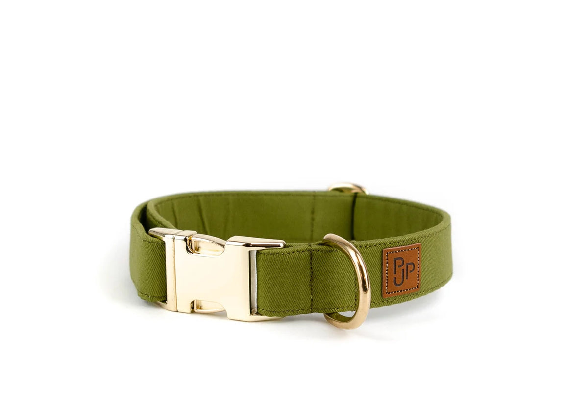 Collier signature - vert - Puddle Jumper Pups