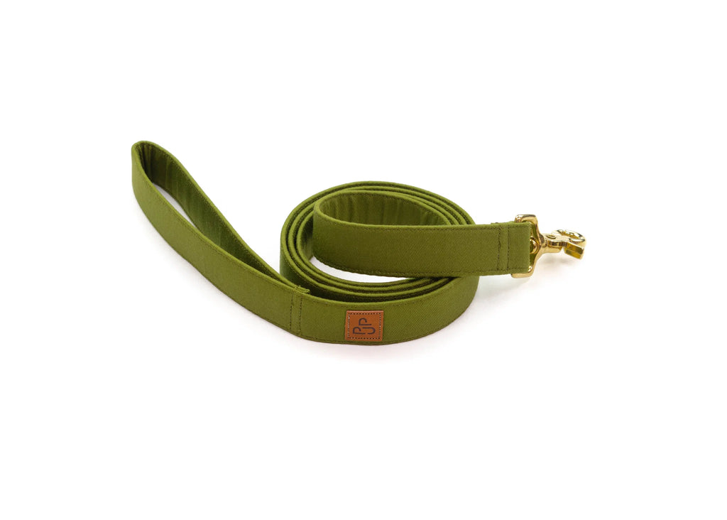 Laisse simple - Vert - Puddle Jumper Pups