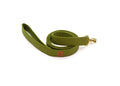 Laisse simple - Vert - Puddle Jumper Pups