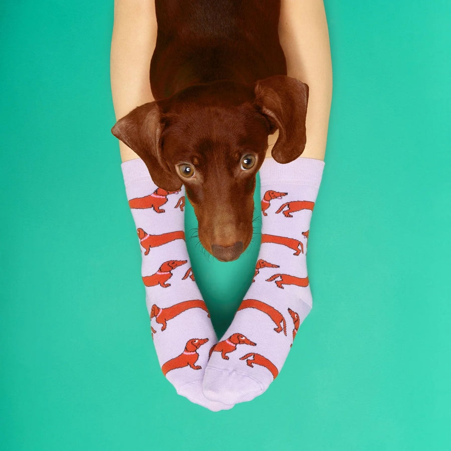Chaussettes Teckel - Coucou Suzette