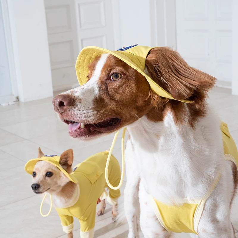 Casquette rafraîchissante Outside+ pour chien - Puppy Gallery