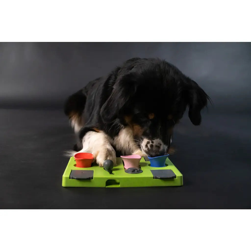 Puzzle rectangle - Hofman