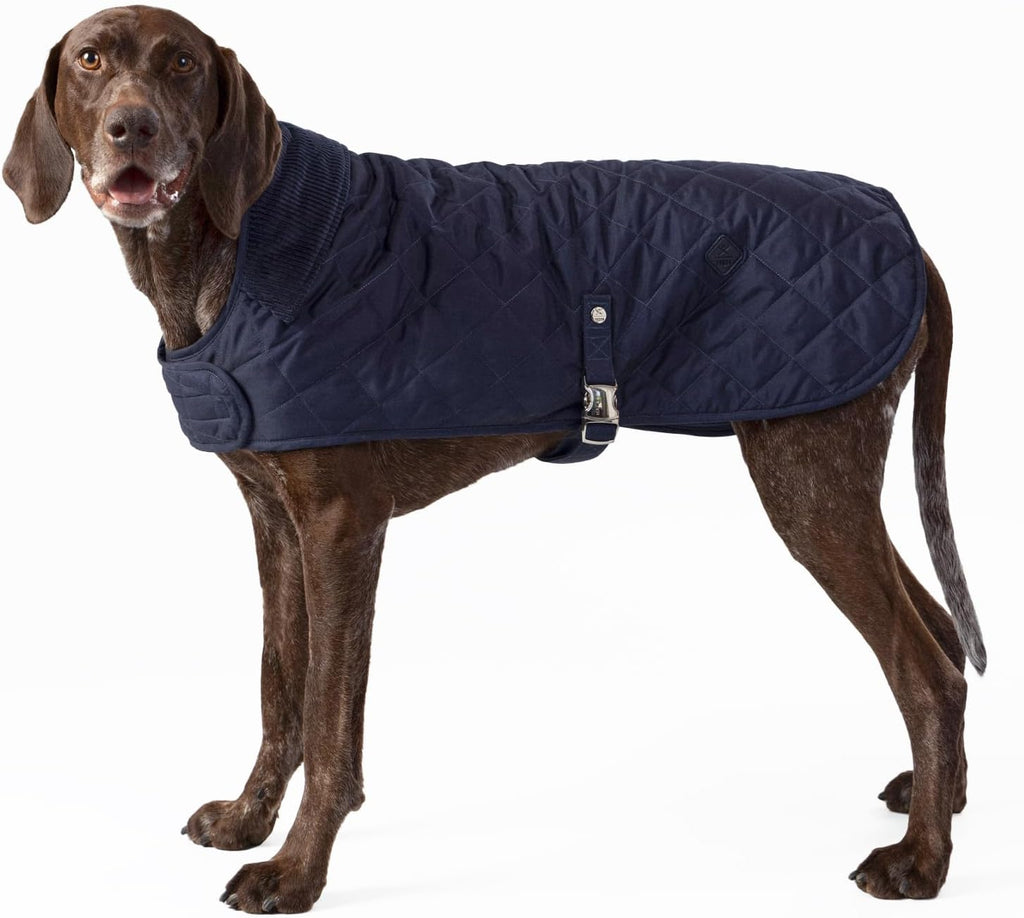 Veste matelassée pour chien - bleu marine - Hugo & Hudson