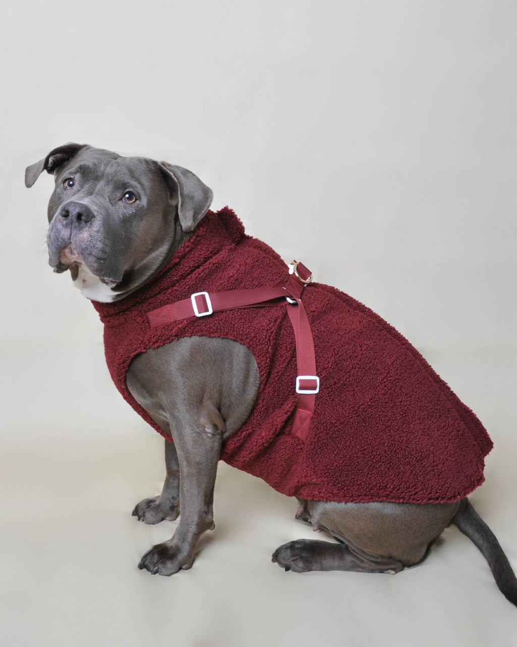 Manteau moumoute pour chien - Bordeaux - Les Wafou
