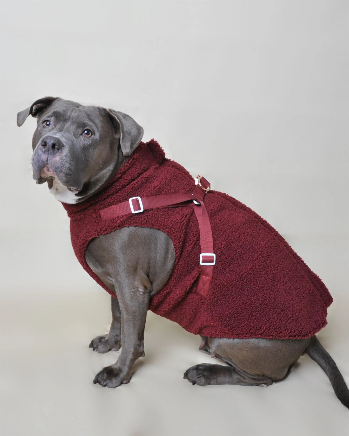 Manteau moumoute pour chien - Bordeaux - Les Wafou