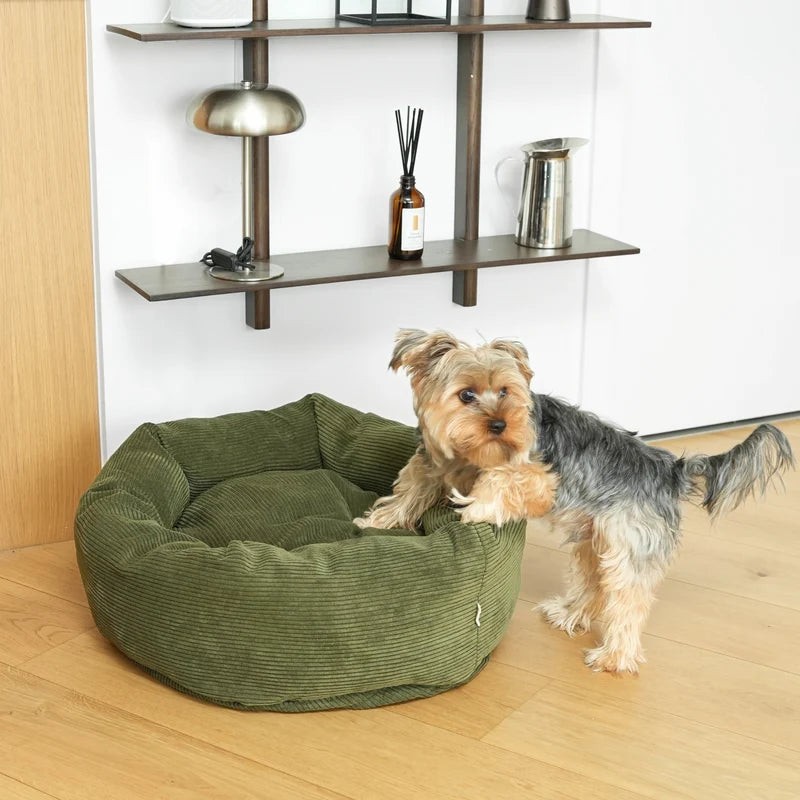 Lit pour chien rond - Velour vert - Staey