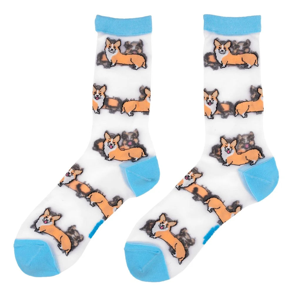 Chaussettes transparentes Corgi - Coucou Suzette