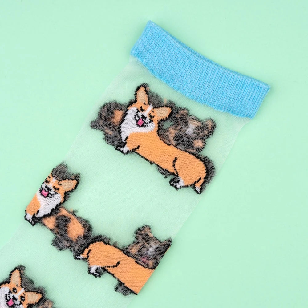 Chaussettes transparentes Corgi - Coucou Suzette