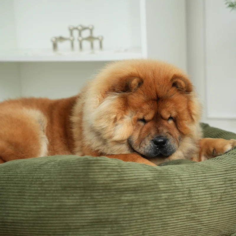 Lit pour chien rond - Velour vert - Staey