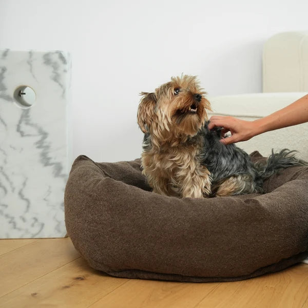 Lit pour chien rond - Bouclé marron - Staey