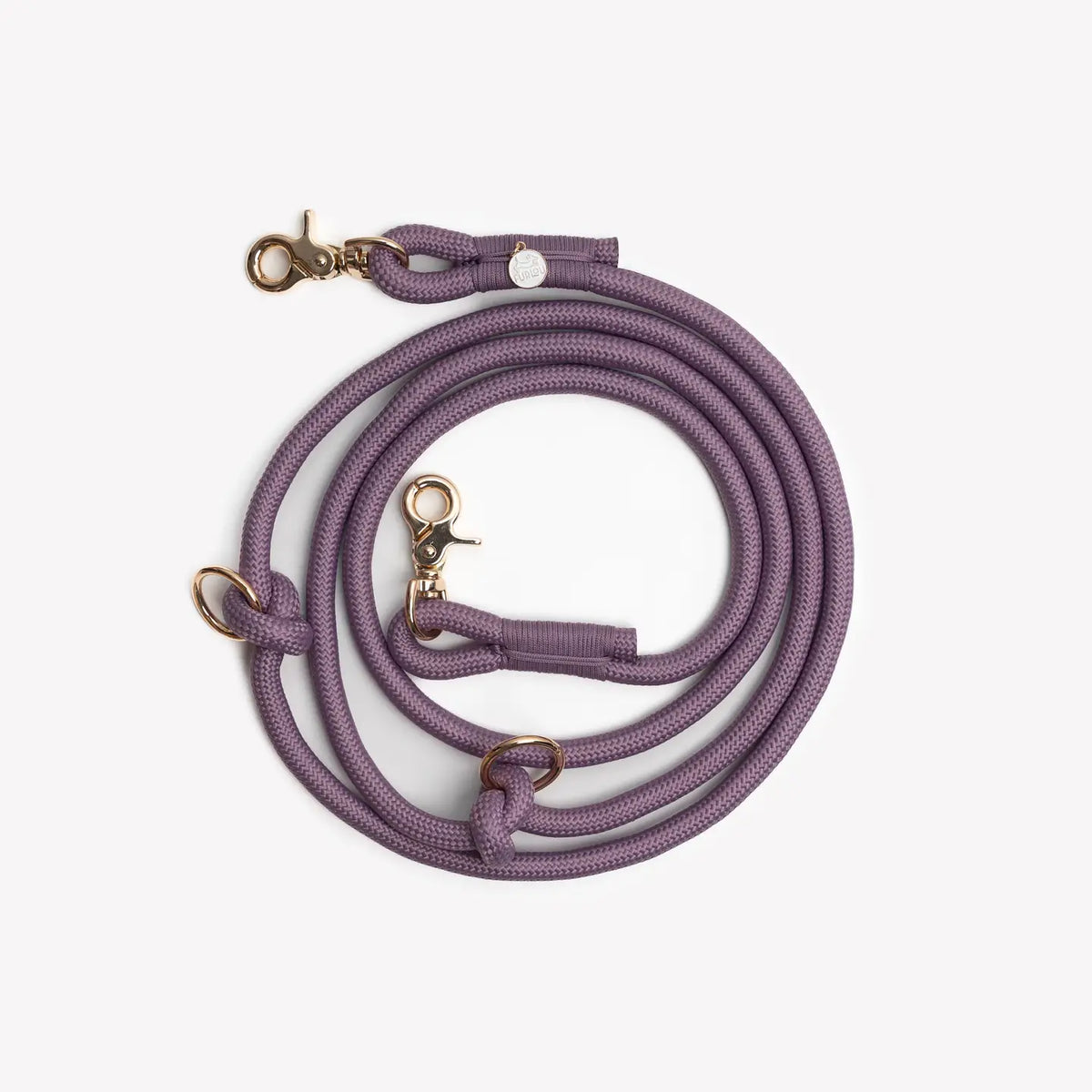 Laisse tressée mains libres - Violet - Furlou