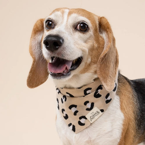 Bandana pour chien - Léopard beige - The Paws