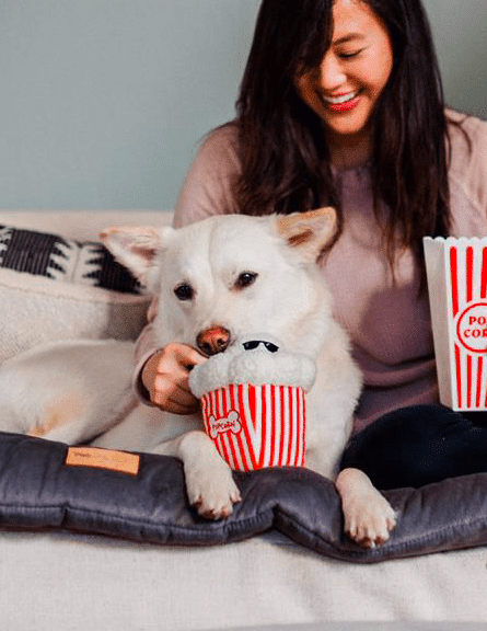Jouet Pupcorn Hollywood Cinema - P.L.A.Y.