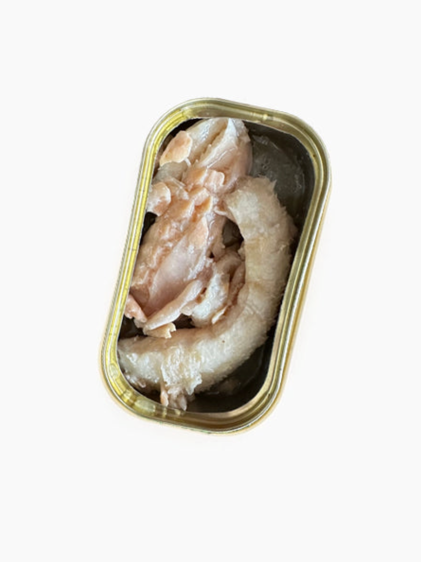 Saumon au naturel chien - Canumi