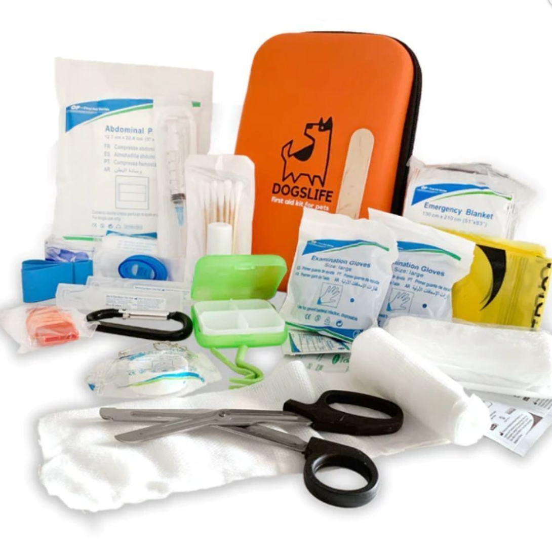 Trousse de premiers secours pour chien - DogsLife