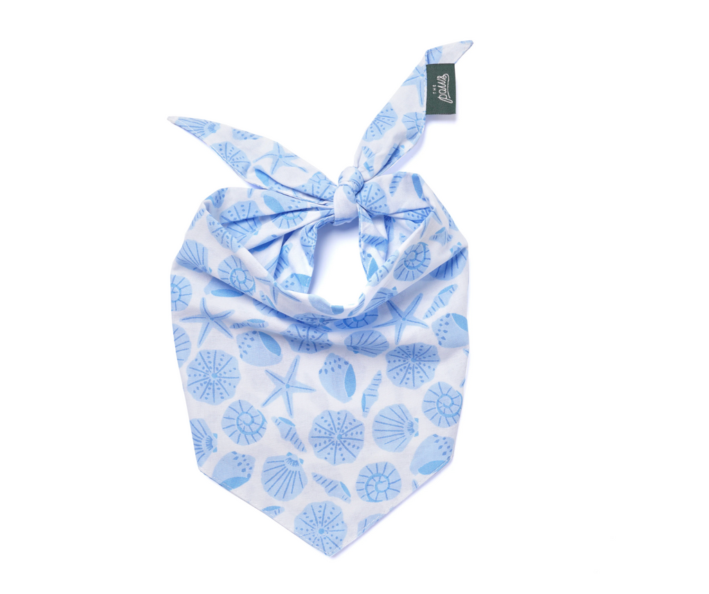 Bandana pour chien - Coquillage bleu - The Paws