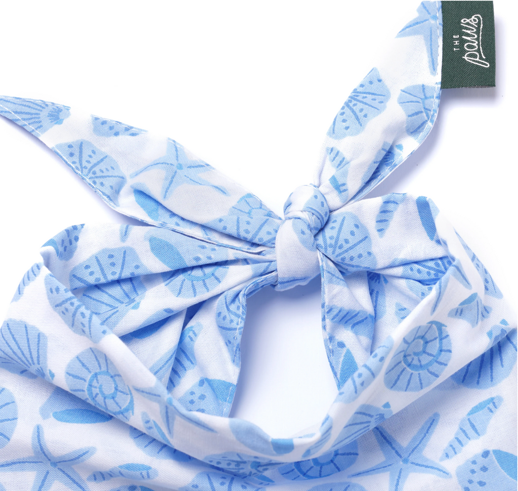 Bandana pour chien - Coquillage bleu - The Paws