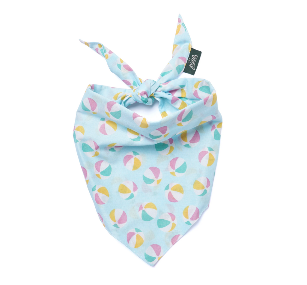 Bandana pour chien - Ballon- The Paws