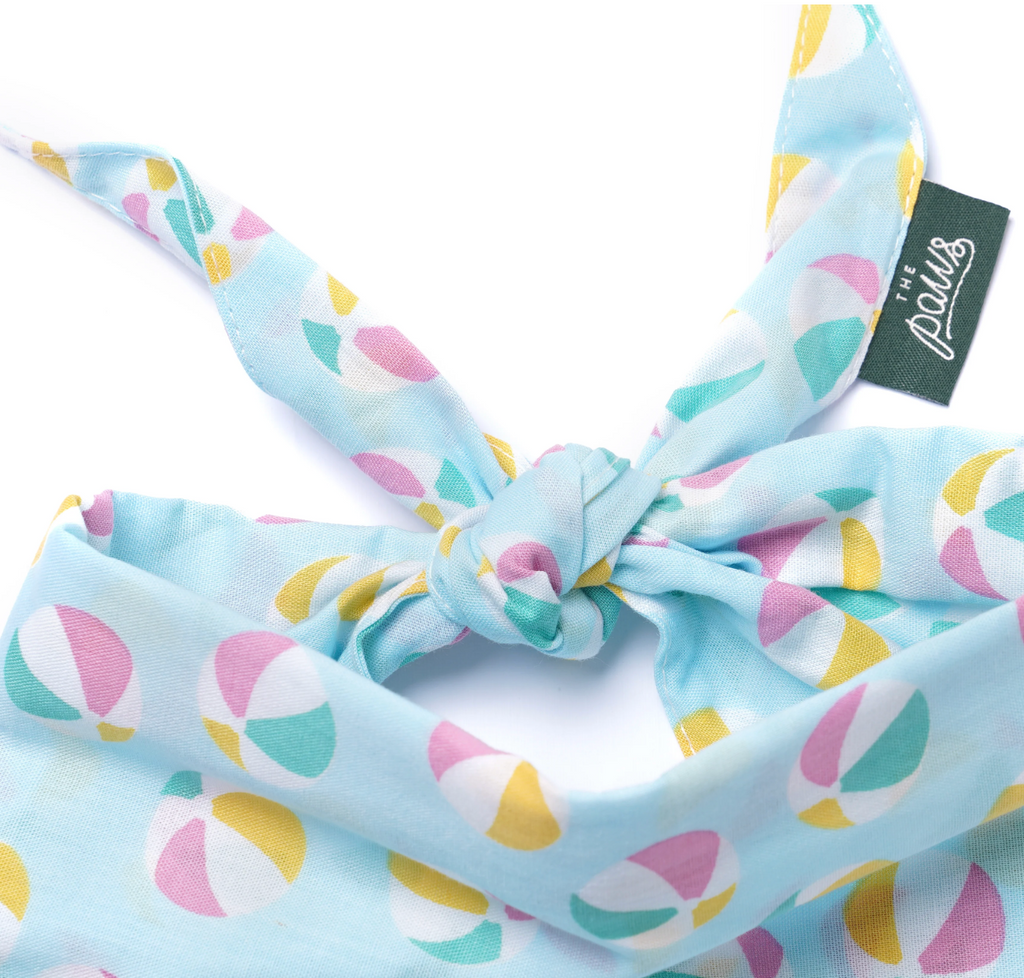 Bandana pour chien - Ballon- The Paws