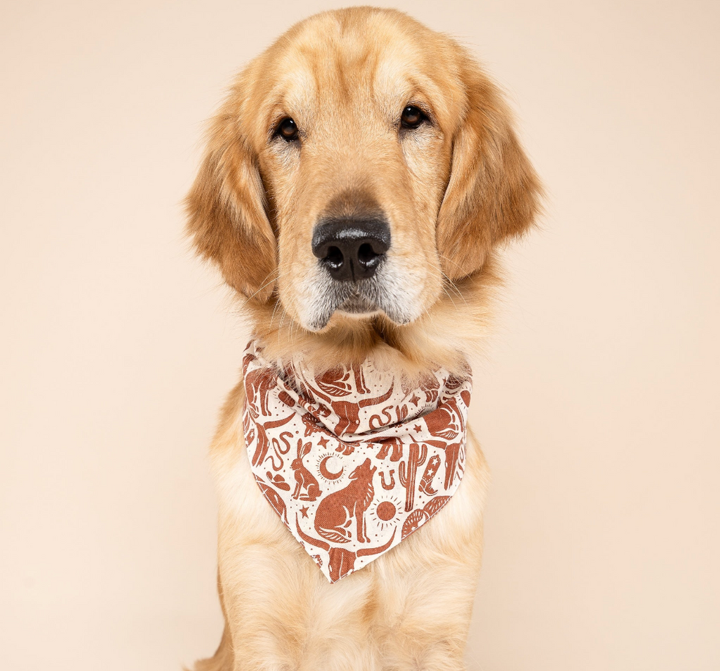 Bandana pour chien - Western - The Paws