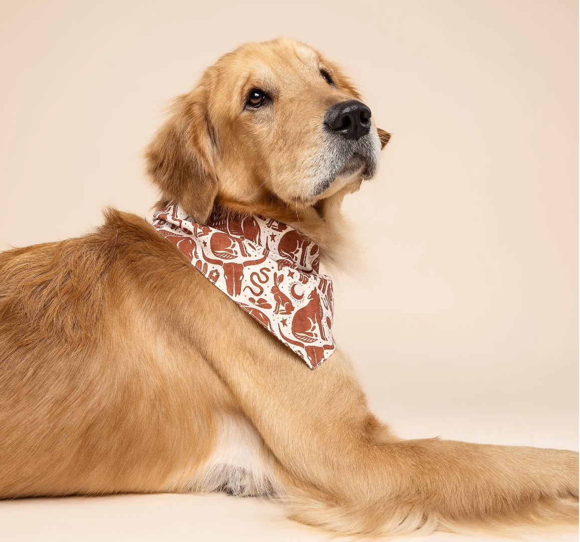 Bandana pour chien - Western - The Paws