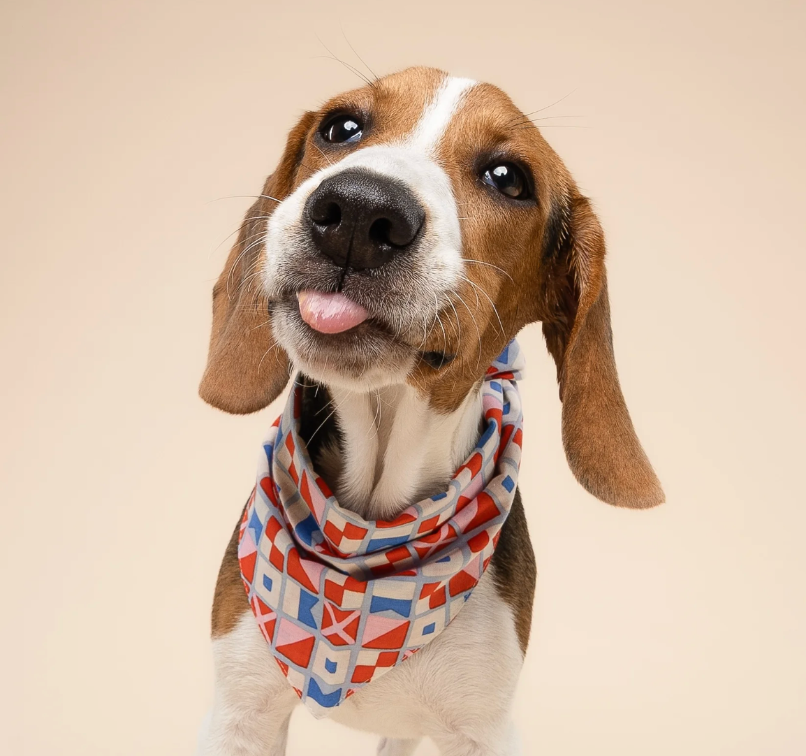 Bandana pour chien - Géométrique maritime - The Paws