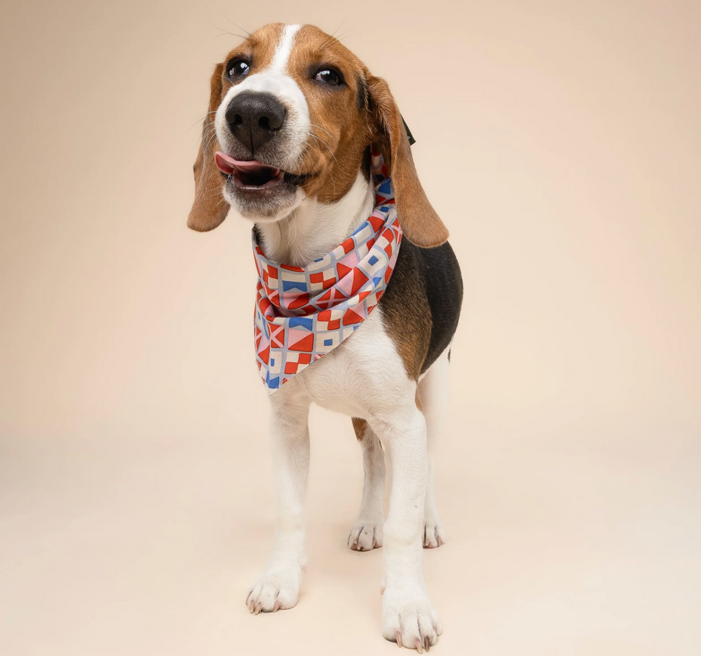 Bandana pour chien - Géométrique maritime - The Paws