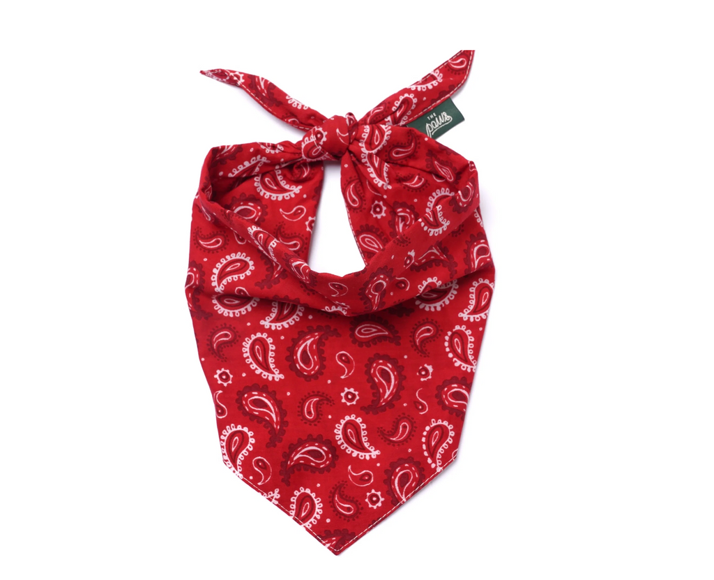 Bandana pour chien - Paisley rouge  - The Paws
