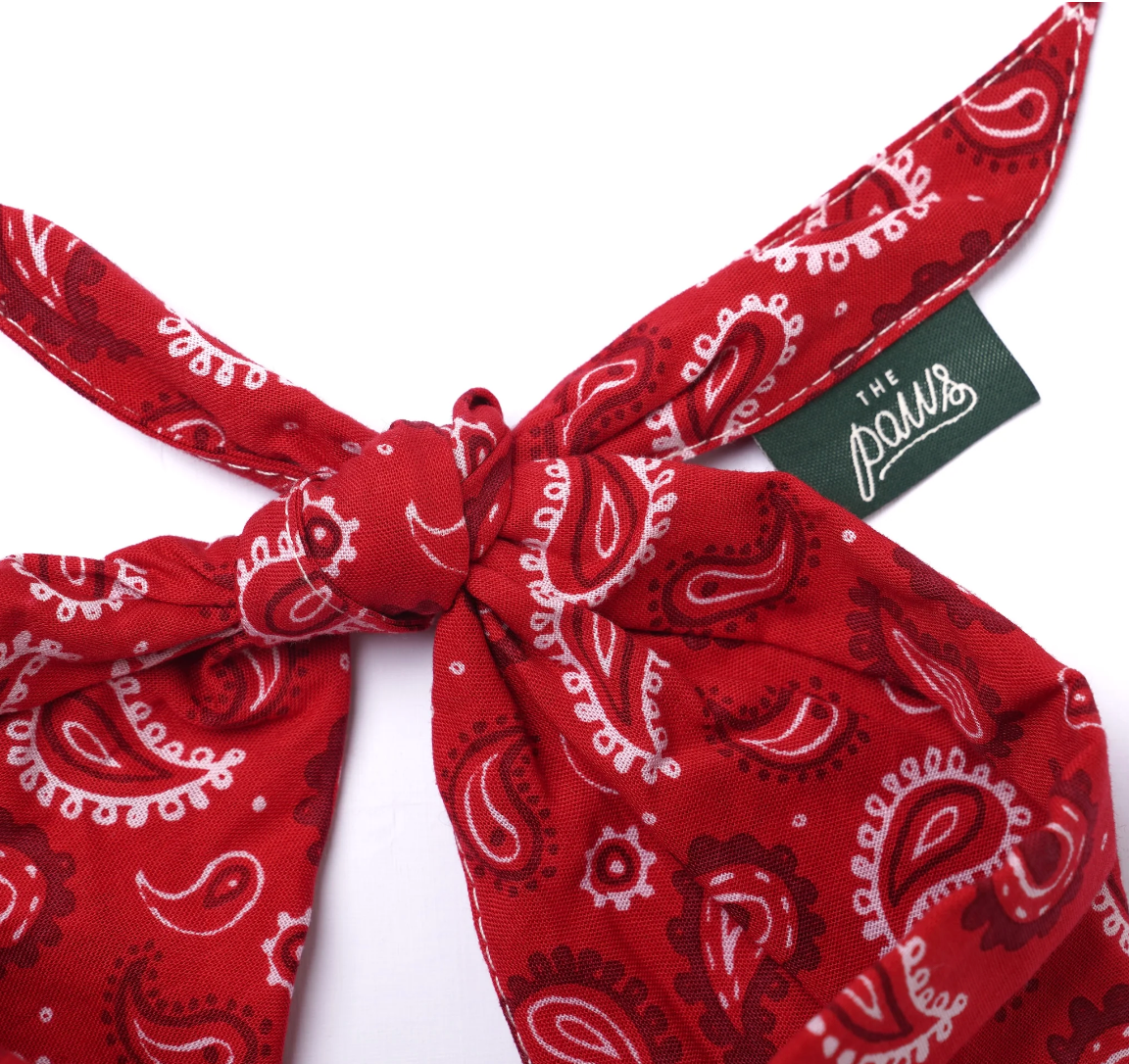 Bandana pour chien - Paisley rouge  - The Paws