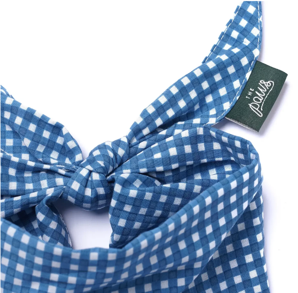 Bandana pour chien - Vichy bleu  - The Paws