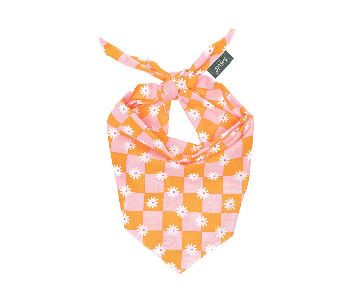 Bandana pour chien - Fleur orange & rose - The Paws