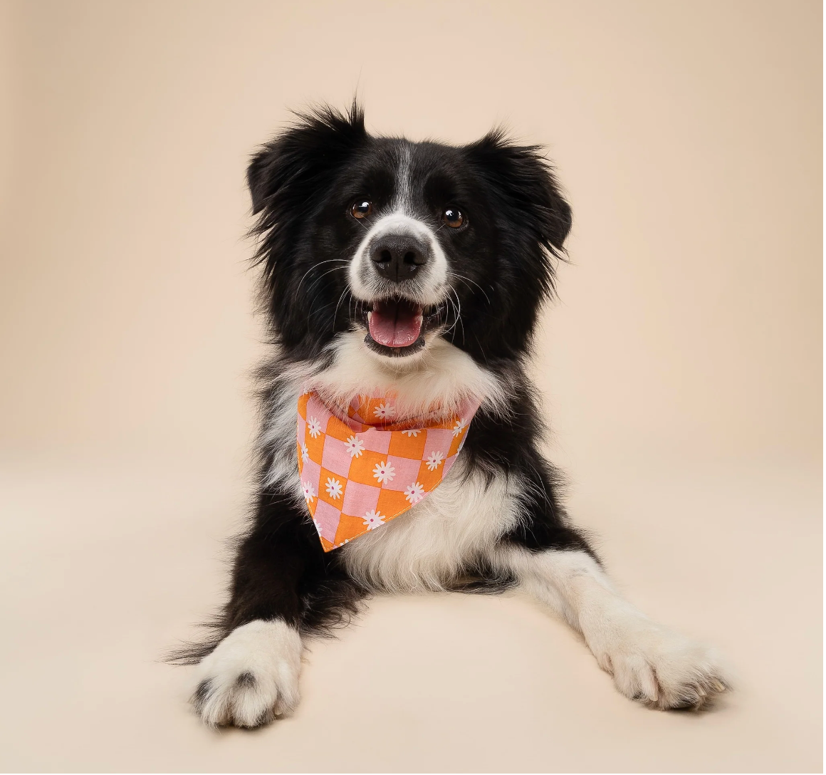 Bandana pour chien - Fleur orange & rose - The Paws