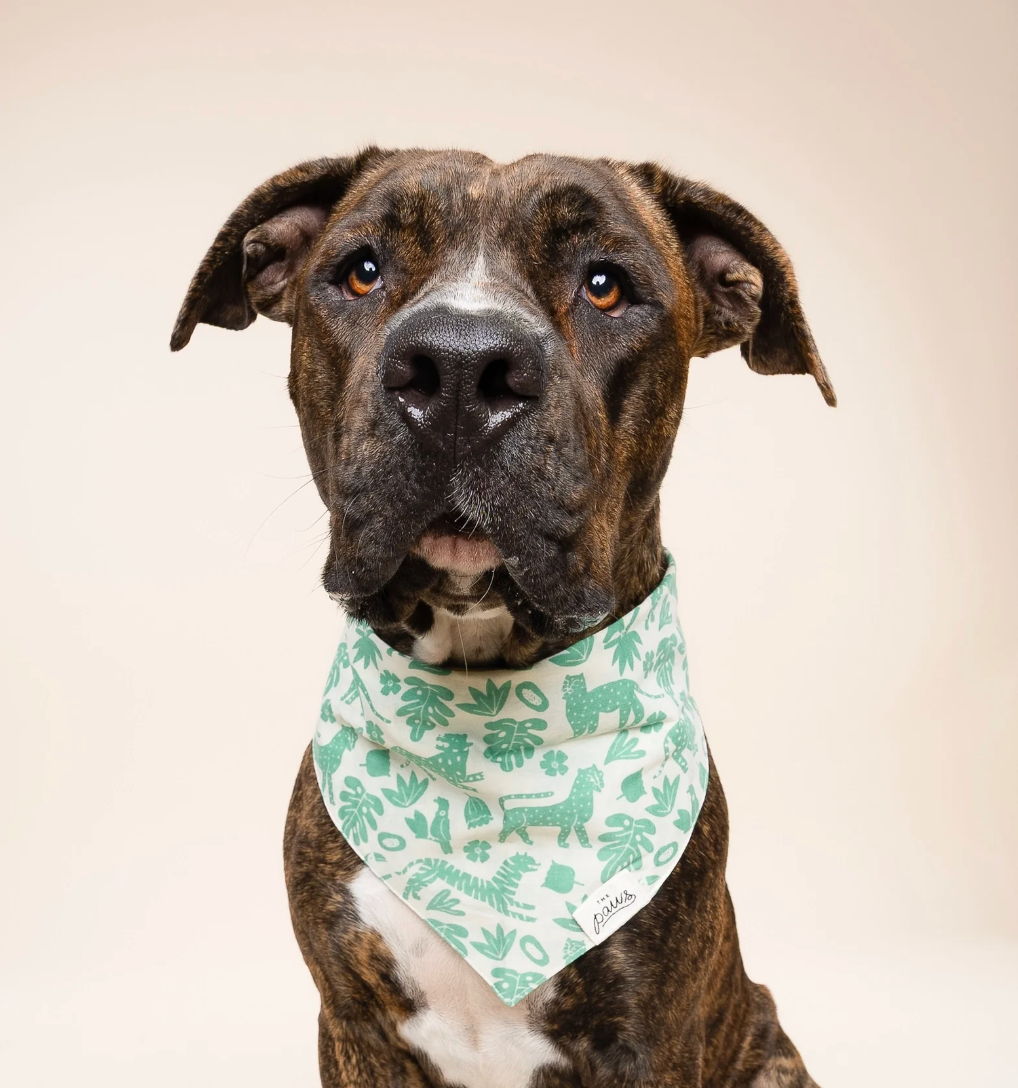 Bandana pour chien - Sauvage vert - The Paws