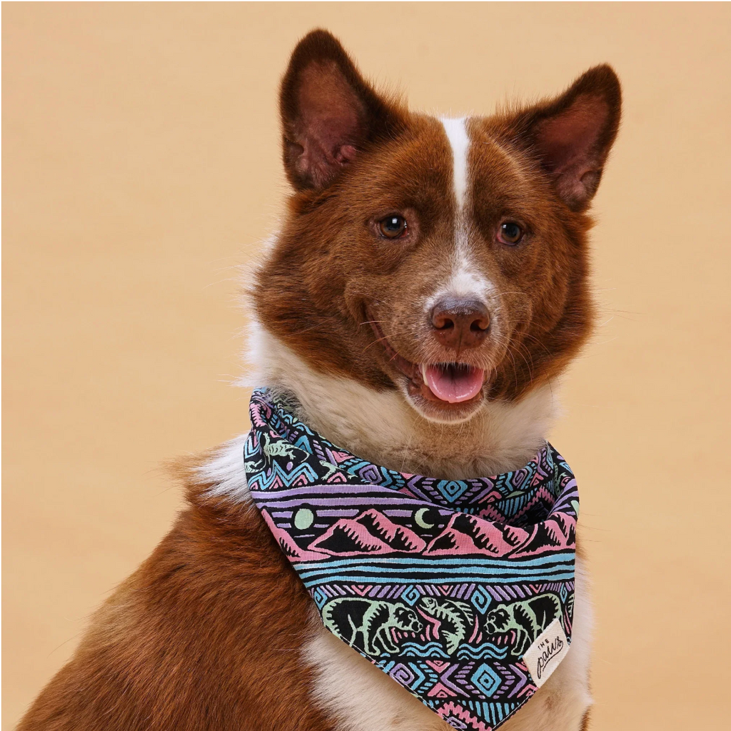 Bandana pour chien - Sauvage noir - The Paws