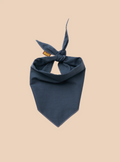 Bandana Scout - Scout's Honour