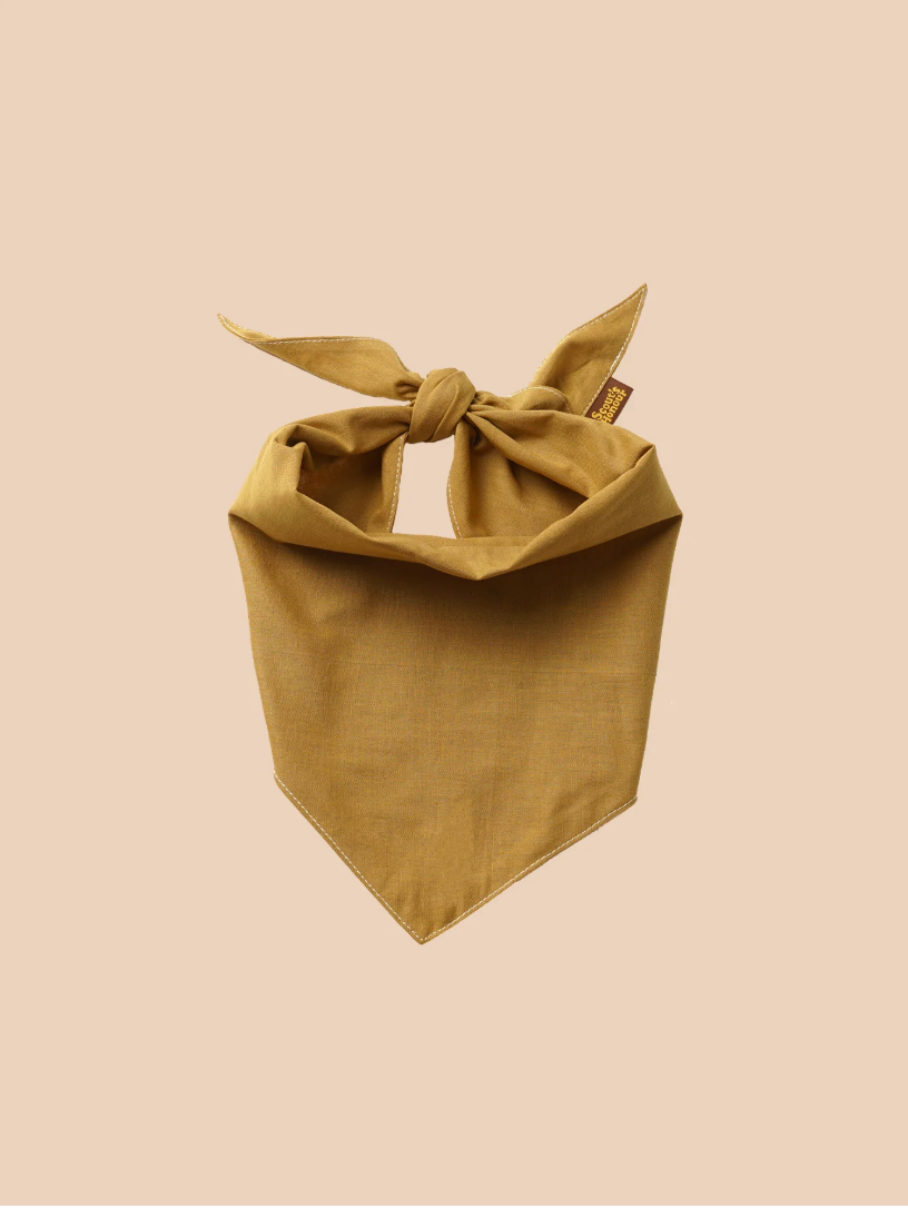 Bandana Scout - Scout's Honour