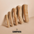 Bois de caféier - Canophera