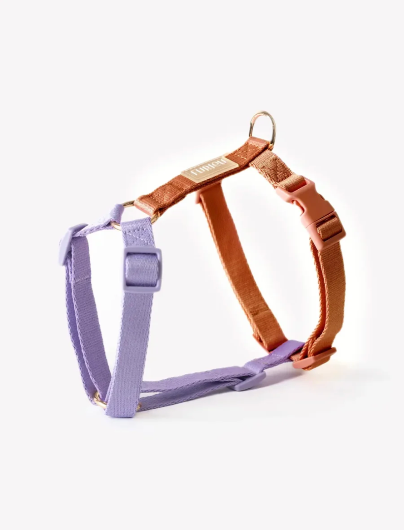 Harnais Rainbow - Orange & Violet -  Furlou