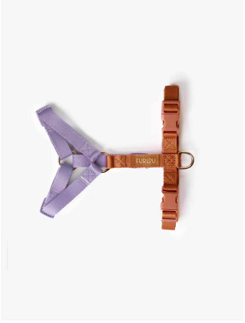 Harnais Rainbow - Orange & Violet -  Furlou