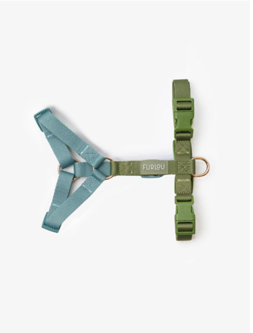 Harnais Rainbow - Vert & Bleu - Furlou
