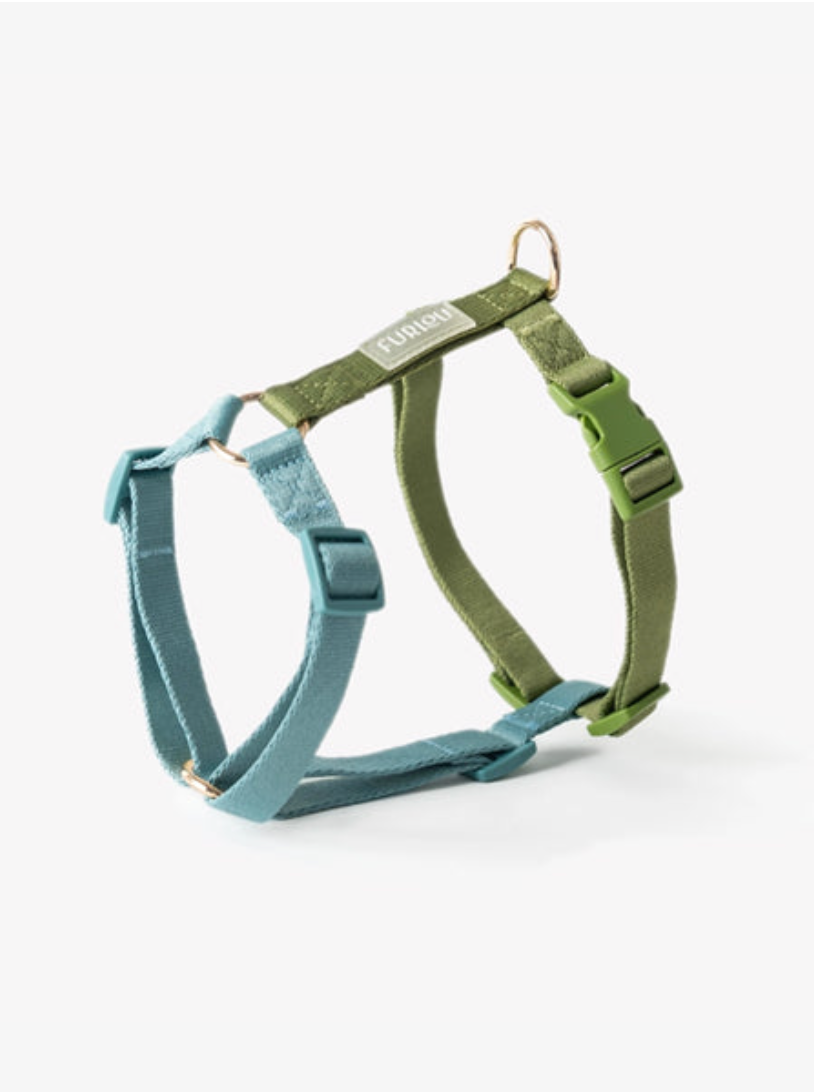 Harnais Rainbow - Vert & Bleu - Furlou